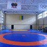 Борцовский ковёр «Олимпийский» 10мх10м, ППЭ (облегчённый)