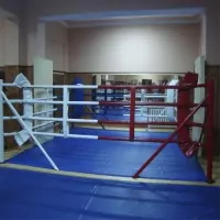 Ринг боксерский напольный канаты 4 м х 16 шт., настил 5м х 5м