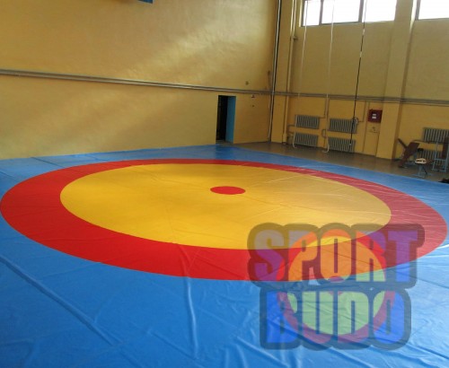 Борцовський килим «Олімпійський» 12мх12м, густина 160