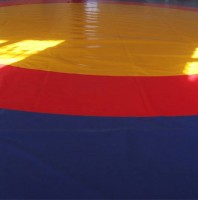 Борцовський килим «Олімпійський» 10мх10м, ППЕ (полегшений)