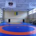 Покрытие для борцовского ковра «Олимпийское» трёхцветное