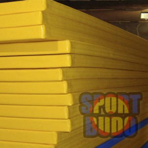 Татами, проклеенные джутовой тканью 1х2х0,04м, Р-160