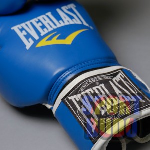 Рукавички боксерські EVERLAST, вініл