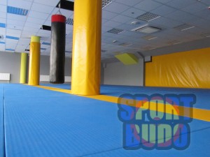 Татами, проклеенные материалом anti-slip 1х2х0,04м, Р-200