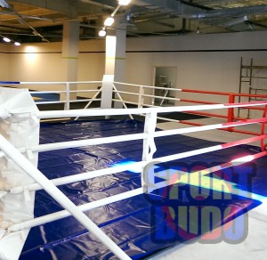 Ринг боксерский напольный канаты 5 м х 5м, 16 шт., настил 6м х 6м