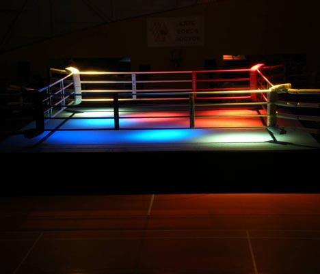 БОКСЕРСЬКІ РИНГИ, БОРЦІВСЬКІ КИЛИМИ ТА ТАТАМИ