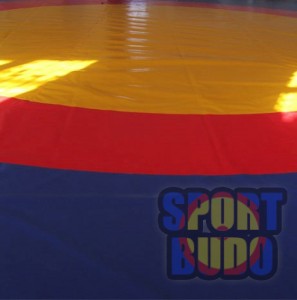 Покрытие для борцовского ковра «Олимпийское» трёхцветное